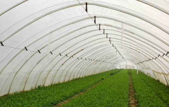 復(fù)合型大棚 復(fù)合型大棚