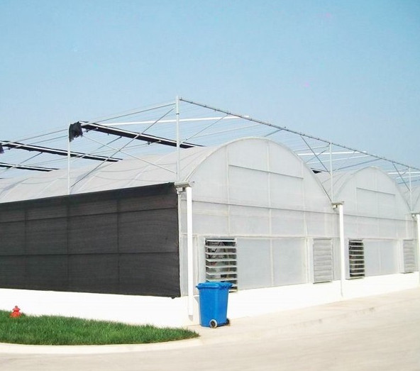 連棟溫室大棚 連棟溫室大棚