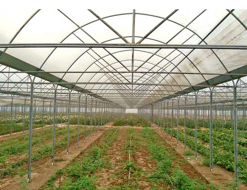 溫室大棚 溫室大棚