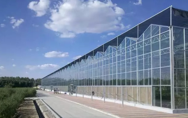 玻璃溫室大棚造價 玻璃溫室大棚造價