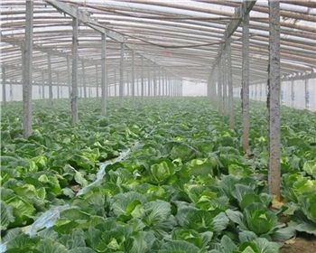 陜西復(fù)合型溫室大棚歡迎聯(lián)系陜西博瀚農(nóng)業(yè)推廣有限公司