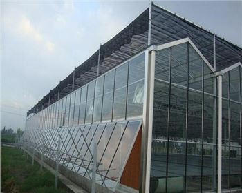 為什么要選擇玻璃溫室大棚